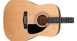 acoustic guitar