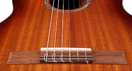 nylon string guitar